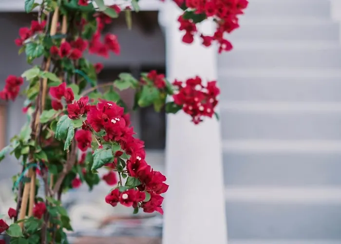 Nora's Ixia Summer House بيت للعطل إياليسوس