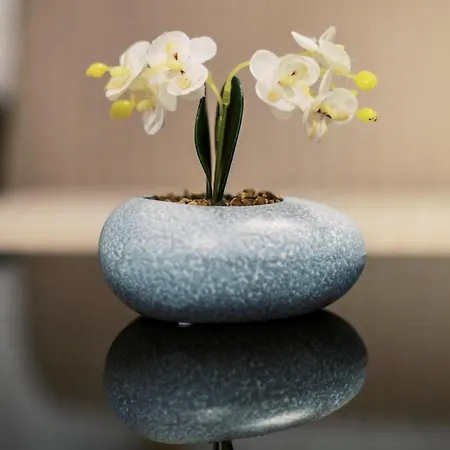 Nora's Ixia Summer House בית נופש *