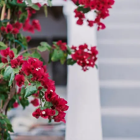 Nora's Ixia Summer House Casa de Férias Ialysos (Rhodes)